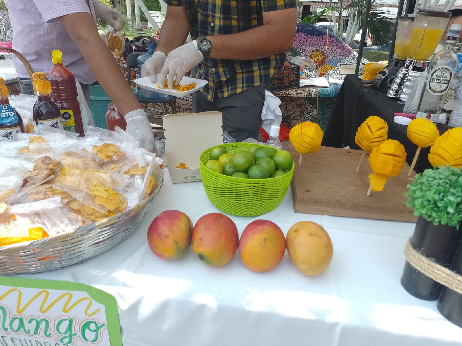 Con éxito se realizó el 5° Festival del Mango