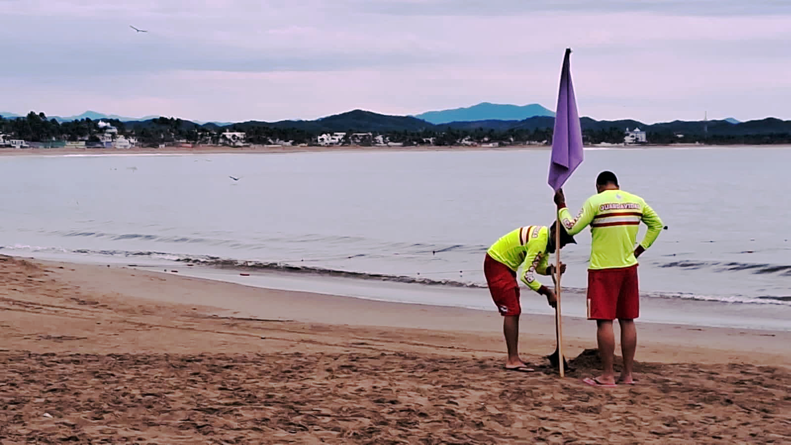 Ataque de Tiburón en Playa de Jalisco fue un "Suceso Extraordinario" : Gobierno de Jalisco