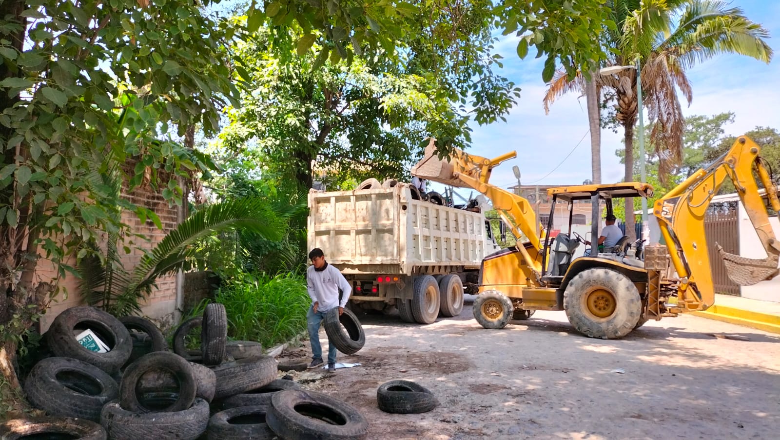 Fortalecen las acciones contra el dengue