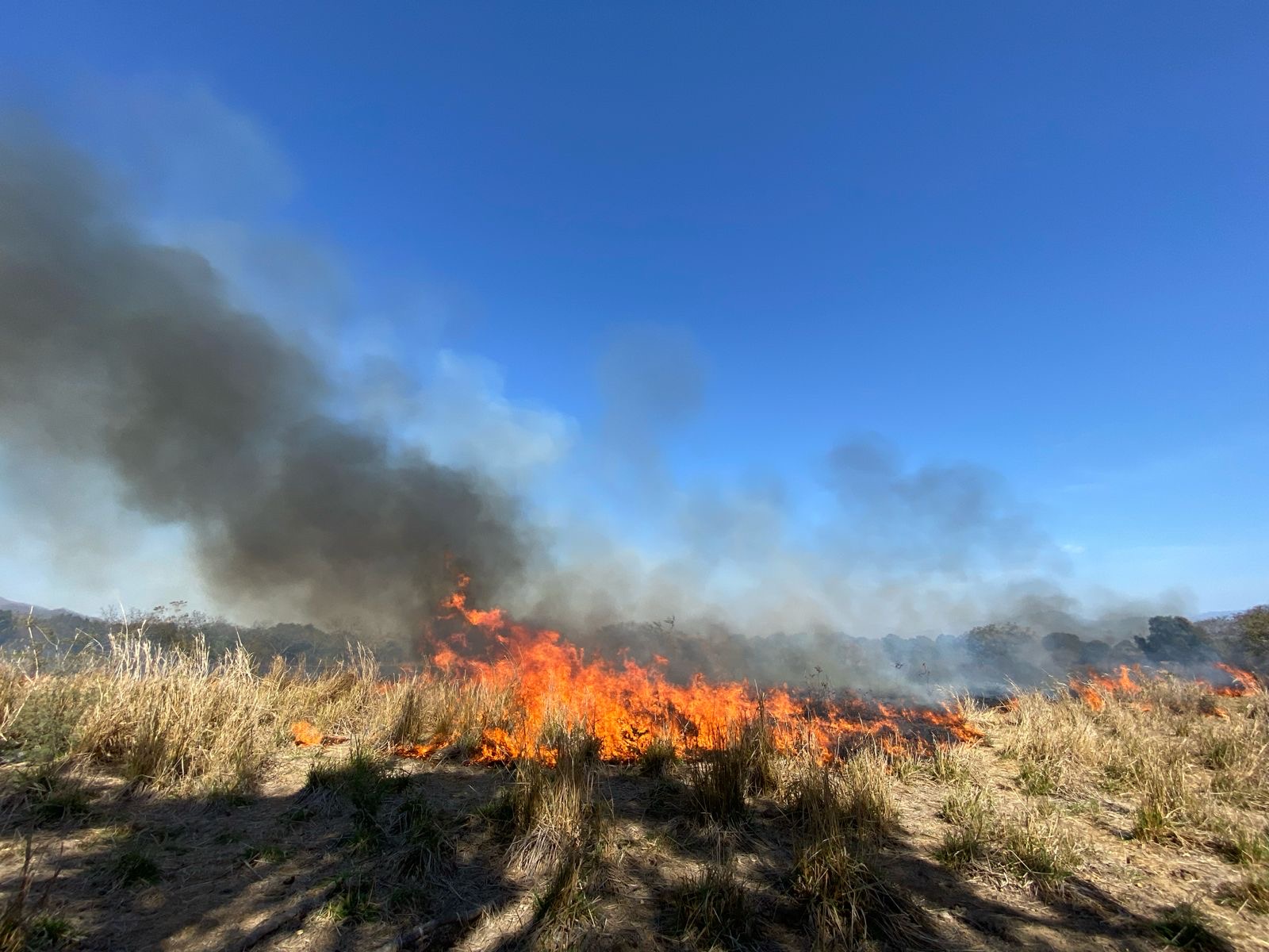 Recomienda Protección Civil prevenir incendios en periodo de estiaje