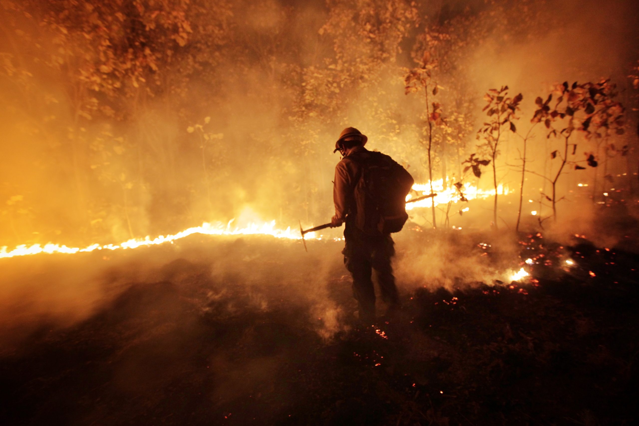 Más de 1 mi 700 incendios forestales han afectado a México