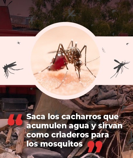 Este miércoles 08 de mayo, dará inicio la campaña de descacharrización en Valle de Banderas y en Tapachula